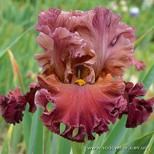 Народноє Рємєсло